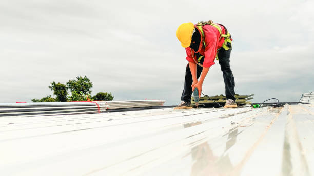 Best Skylight Installation and Repair  in Prince George, VA